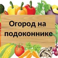 «Чудо-огород на подоконнике»