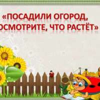 Огород будущего на окне.