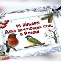 15 января - Всероссийский день зимующих птиц!