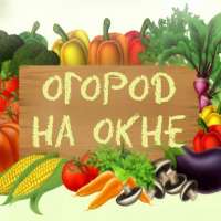«Долгожданный мини-огород»