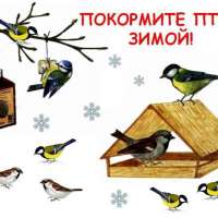 Покормите птиц зимой. День зимующих птиц России.