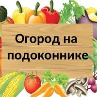 Огород на подоконнике