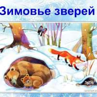 Зимовье животных