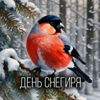 День снегиря
