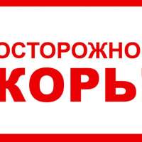 Внимание! Корь!