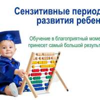 Сензитивные периоды развития: Что это такое?