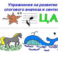 Развитие навыка слогового анализа и синтеза