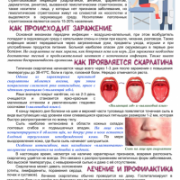 СКАРЛАТИНА
