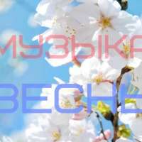О сетевом сообществе музыкальных руководителей