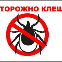 Осторожно, клещи!